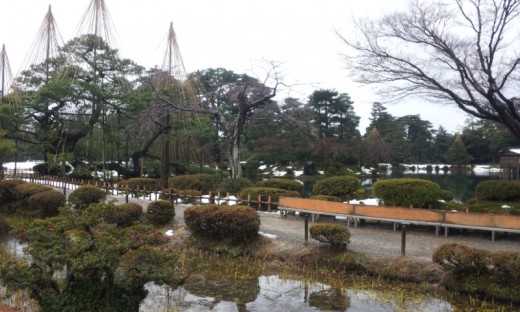 兼六園、今年は人出は少なめ、片町は開店前の行列がすごかった