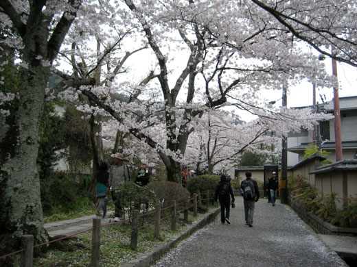 哲学の道は続く・・・