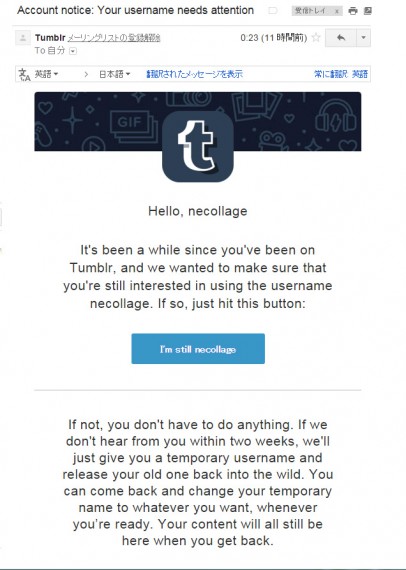 Tumblrから継続可否のメール