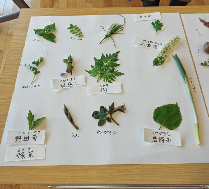 摘み草と名称